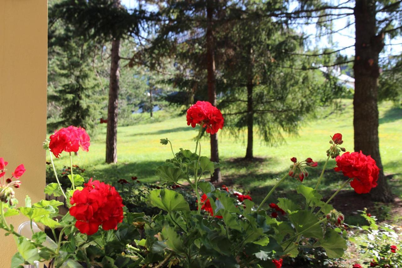 Hotel President Garni Zlatibor Exterior photo